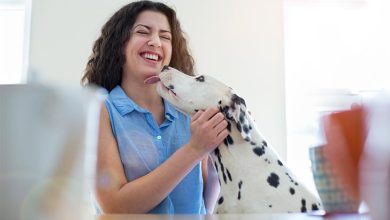 Photo of 10 Science-Based Benefits of Having a Dog