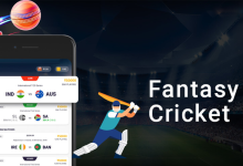 Photo of Top Features for Fantasy Cricket Fans