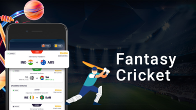 Photo of Top Features for Fantasy Cricket Fans