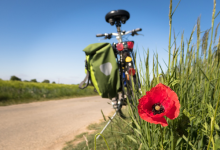 Photo of Staying Safe During a Biking Adventure: The Best Tips and Strategies to Remember