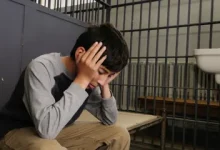 Photo of What You Should Know About Juvenile Crimes In Colorado